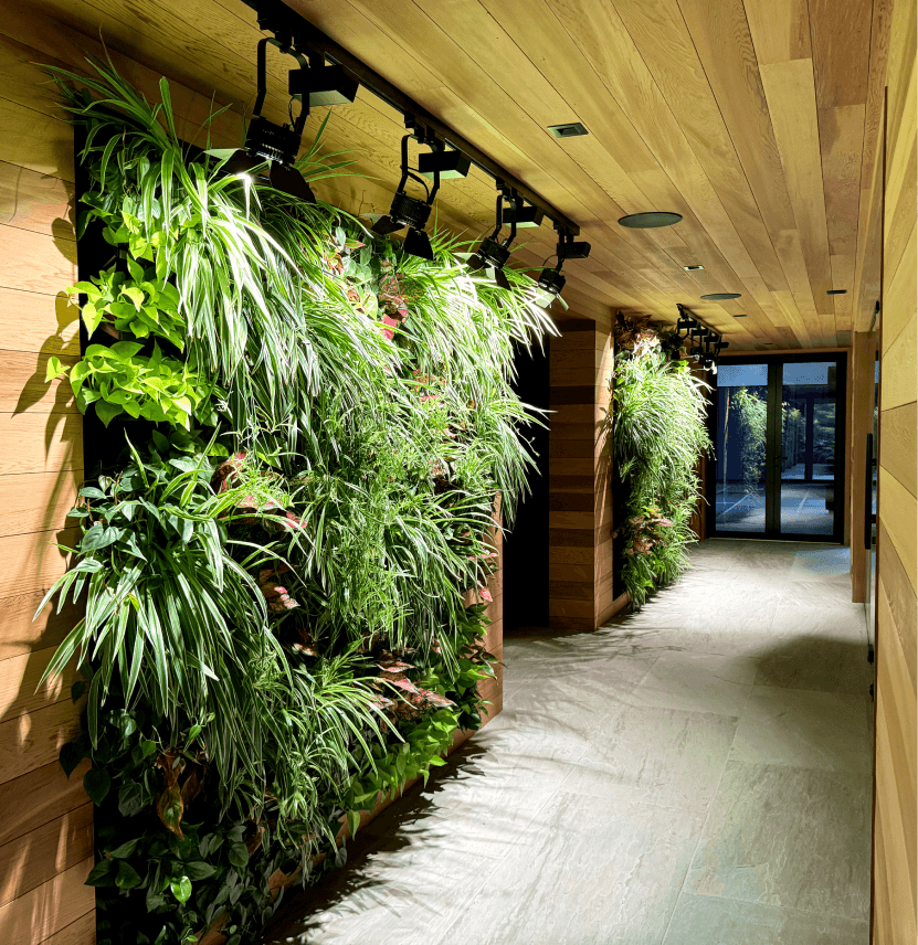 Case Study: Tech-Infused Tranquility