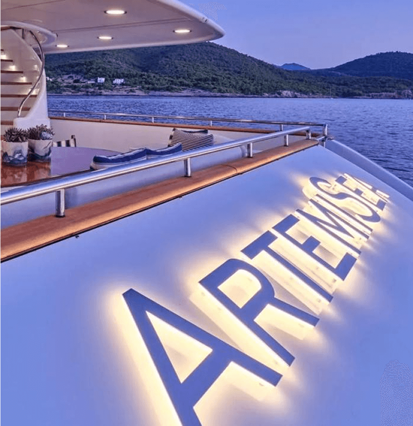 Case Study: ArtemiSea