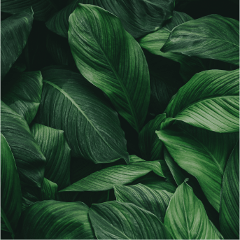 이미지 1 텍스트 필드